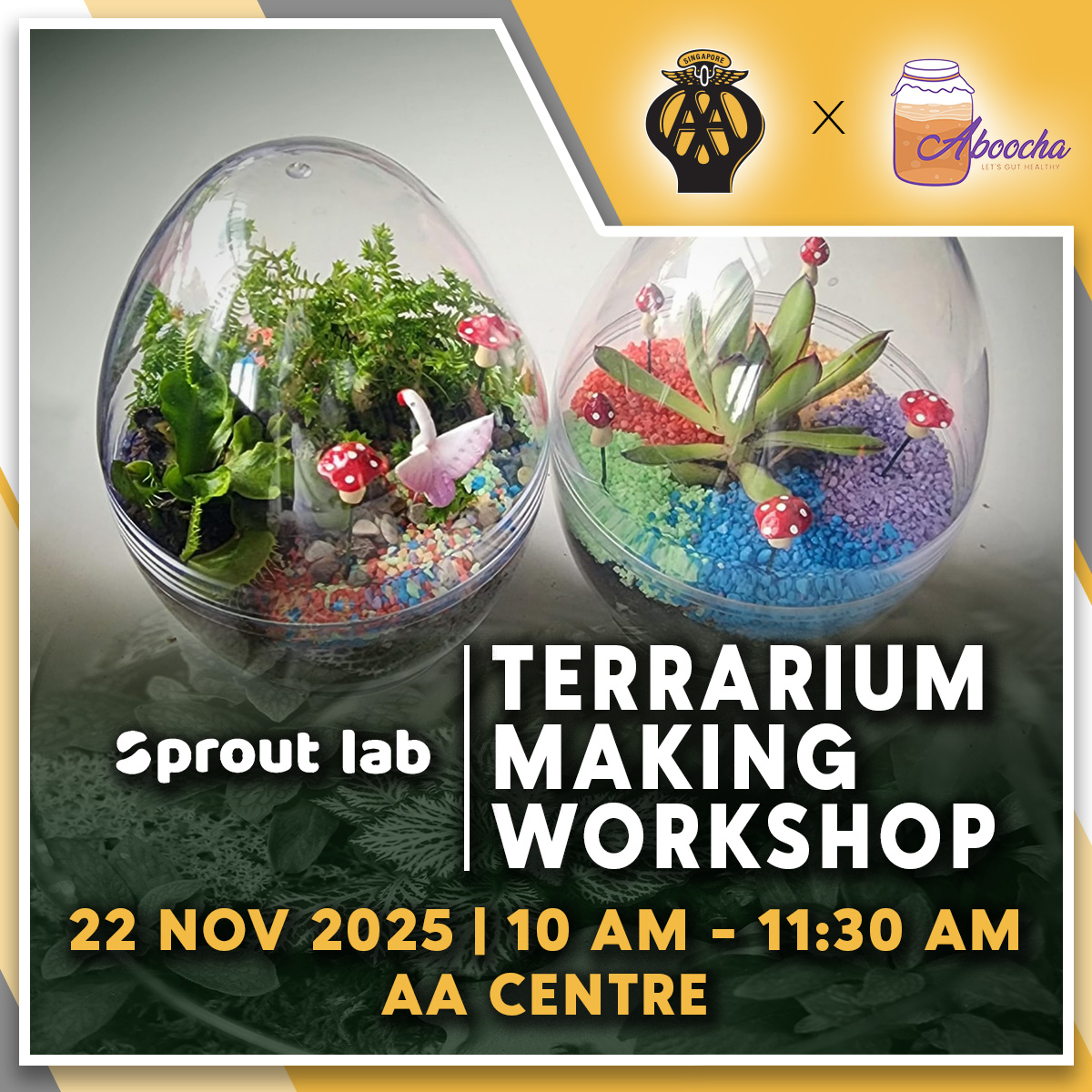 Terrarium Making Workshop